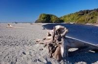 Driftwood is a common sight along the beach at Ship Creek on the South Island of New Zealand and many pieces have been here for years.