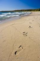 The wide sweeping beach of Pancake Bay Provincial Park on the eastern shores of Lake Superior is the perfect place for travelers to relax and unwind. Walk barefooted along the fine sand beach leaving only your footprints!