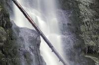 The Merriman Falls are a beautiful waterfall situated near Quinault Lake on the Olympic Peninsula in Washington, USA.