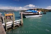 The Black Cat catamaran cruises into the dock in the Akaroa Harbour after an exciting day on the water around the South Island of New Zealand.