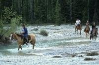 Horseback day trippers take a trek through the Blaeberry Valley in British Columbia, BC, Canada.