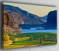 Okanagan Blue Mountain Vineyard