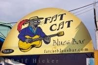The bright artistic sign to the entrance of the Fat Cat Blues Bar in St. John's in Newfoundland Labrador in Canada.