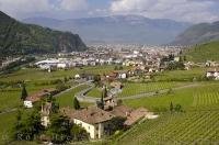 Vineyards nestled in the valley near Bozen in the South Tyrol, Italy.
