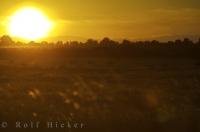 Like a ball of fire, the sun sits near the horizon during sunset in the beautiful Camargue region of France in Europe.