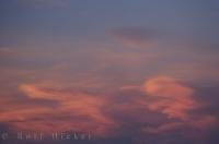 The sky over Camargue in the Provence, France in Europe is beautiful hues of pink glowing through the ominous clouds.