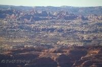 The diverse landscape of the Needles District in Canyonlands National Park in Utah, USA.