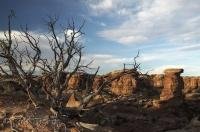 The landscape surrounding Big Spring Canyon in Canyonlands National Park in Utah.