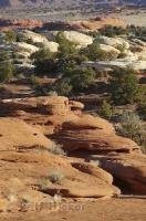 A picture of the landscape of Canyonlands National Park in Utah, USA.