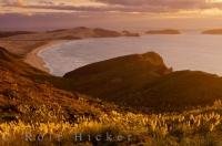 A vivid sunset dawns on the landscape surrounding Cape Reinga in Northland on the North Island of New Zealand.