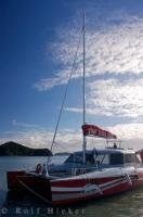 Take a trip aboard the Carino, a fifty foot catamaran sailboat that picks you up in Paihia, New Zealand and takes you on an excursion of a lifetime.