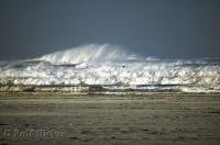 The wind was certainy one of the causes of these large ocean waves rollington Long Beach in Washington, USA.