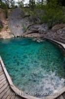 A steaming hot spring which is home to the endangered Banff Springs Snail at the Cave and Basin National Historic Site in the town of Banff, Alberta, Canada.
