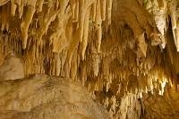 Stalactites are formations found in caves such as Aranui Cave in Waitomo, Waikato, New Zealand.