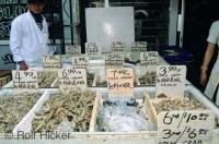 A fish market stall in China Town in the city of Toronto, Ontario, Canada.