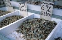 Fresh seafood, produce, and herbal remedies are all available in the Chinatown markets in downtown Toronto, Canada.