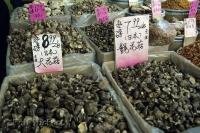 Bins of mushrooms and ground up herbs are just a few of the delicacies avaible at the Chinese market in Chinatown, Toronto, Canada.
