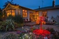 On a tour around New Zealand, be sure not to miss this Christmas light display in Pukeuri, Otago on the South Island of New Zealand.