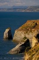 The diverse landscape of the Taranaki region of New Zealand features coastal cliff faces and high plains.