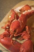 A freshly cooked lobster meal at Lanes End Bed and Breakfast in the town of Lewisporte along the Kittiwake Coast of Newfoundland.