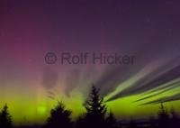 Occasionally seen on Northern Vancouver Island - Northern Lights
