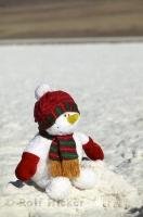 A christmas snowman in the desert is an interesting concept in Death Valley National Park in California, USA.