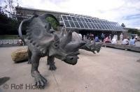 A model dinosaur at the entrance to the world famous Royal Tyrrell Museum of Palaeontology in the Drumheller Valley of Alberta, Canada.