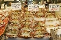 Dungeness Crabs photographed in the Pike Market in downtown Seattle.