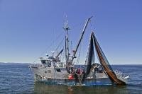 Fishing off Northern Vancouver Island in British Columbia can be one of the most prosperous areas for salmon.