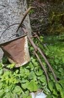 A rusted watering bucket looks like an ancient replica leaning against an exotic tree in Ronning's Garden on Northern Vancouver Island in British Columbia, Canada.