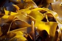 Low tide in San Josef Bay on Northern Vancouver Island leaves beautiful colored kelp beds on the beaches.