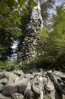 An old cedar tree is used for a shoe hanger in Holberg on Northern Vancouver Island in British Columbia, Canada.