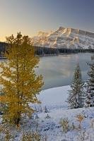 In the Rocky Mountains, an early winter snowfall melds with fall colours on the trees in a beautiful calm scene.