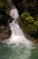 A waterfall, called Falls Creek, cascades over a series of hard rock shelves in a small canyon surrounded by dense native bush along the Milford Road in Fiordland National Park on the South Island of New Zealand.