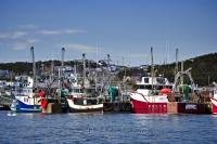 A fleet of fishing boats are tied up to the dock in the harbour of St. Anthony on the Northern Peninsula of Newfoundland, Canada.