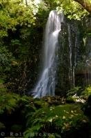 Amongst the forested region of the Southern Scenic Route on the South Island of New Zealand, one will find a beautiful waterfall named Matai Falls.