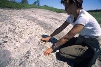 Fossils near Main Brook, Newfoundland, Canada, North America. Model Released.