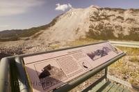 The infamous Turtle Mountain was the source of the land slide which partly buried the town of Frank in Alberta, Canada.