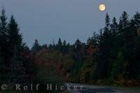 A full moon rises above the Autumn colored trees along the Parkway in La Mauricie National Park in the Mauricie region of Quebec, Canada.