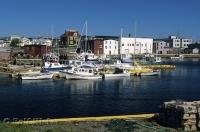 Situated on the northern bank of the Burin Peninsula, Grand Bank is one of the most beautiful communities along the Atlantic coast in Newfoundland.