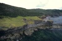 Emerald green waters surround the volcanic coastline of Green Gardens in Newfoundland, Canada.