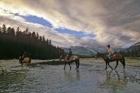A popular vacation activity during a visit to Golden in British Columbia is a horseback riding adventure tour through the back country.