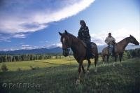 A fun activity to take part in during a trip in BC is horseriding on the rolling countryside of the Blaeberry Valley near Golden in British Columbia.