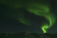 The eerie green plume of the Northern Lights curls into the sky over the Arctic  region.
