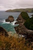 The beautiful scenic view of the rugged coastline that adorns Jack's Bay along the Southern Scenic Route in Otago, New Zealand.