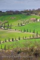 La Foce is a delightful area of Tuscany that is rural but has its place in art and literature and is a must stop in the heart of the region. Roads like this zigzagging one are common and ar often lined by the famous Tuscany Cypress tree.