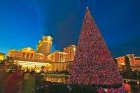 There are many packaged specials at Christmas that are available for families, singles and group vacations in Las Vegas, Nevada.
