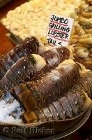 Large lobster tails at the fish markets at the Public Market Center in Seattle, Washington, USA