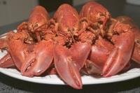 A plate of fresh cooked Atlantic lobsters a great evening meal at Lanes End B&B in Lewisporte, Newfoundland, Canada.