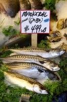 A variety of seafood including mackerel fish are available at the Pike Place Fish Co at the Public Market Center in Seattle.